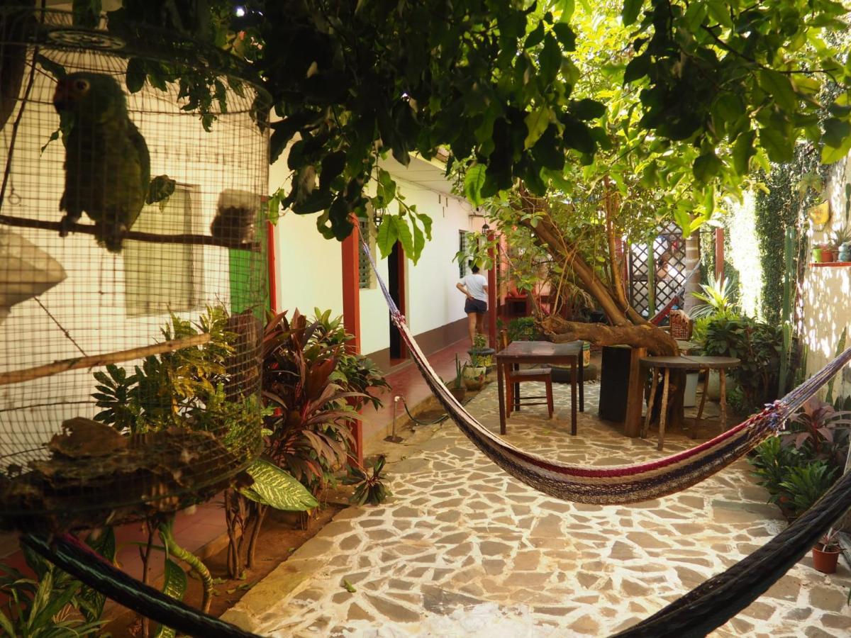 Hostal Vacaciones Nicas León Εξωτερικό φωτογραφία